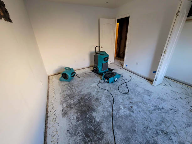 Best Ceiling water damage repair  in New York Mills, NY