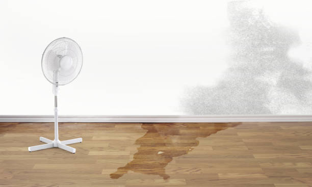 Carpet water damage restoration in New York Mills, NY